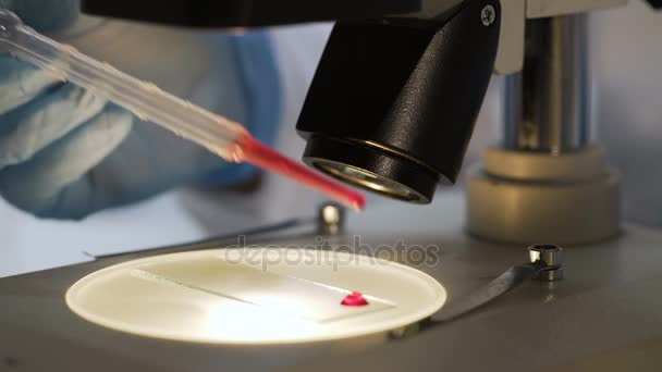 顕微鏡では、科学研究に法医学の専門家準備血液サンプル — ストック動画
