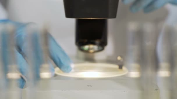 Tubos de ensayo con biomaterial frente al microscopio, lentes de ajuste científico — Vídeos de Stock