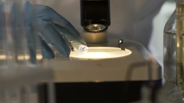 Wetenschapper verplaatsen van dia onder Microscoop en aanpassen van de lens, werken bij nacht — Stockvideo