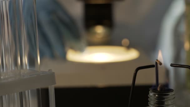 Медицинский ученый просматривает образцы под микроскопом, проводит исследования в лаборатории — стоковое видео