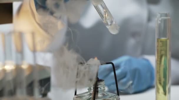 Laboratório assistente de aquecimento tubo de ensaio com biomaterial sobre queimador, pesquisa — Vídeo de Stock
