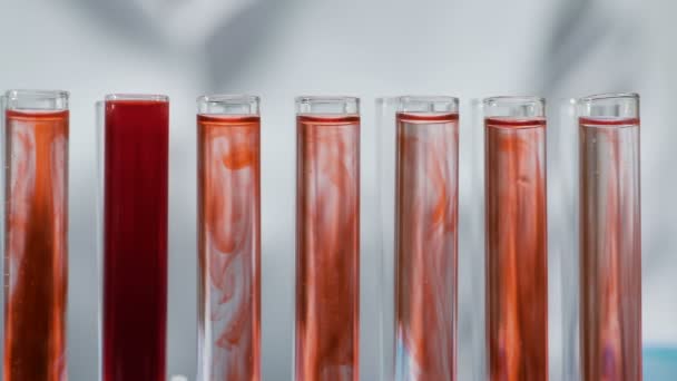 Medical scientist observing reaction in test tubes, doing research, science — Stock Video