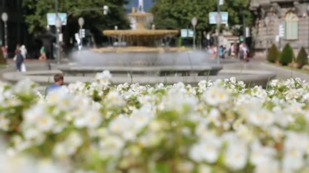 Площадь Мойуа в Бильбао украшена красивыми цветами и фонтаном — стоковое видео