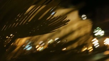 Teatro Arriaga opera binası palmiye ağacı, Bilbao, İspanya gece hayatı ile gördüm