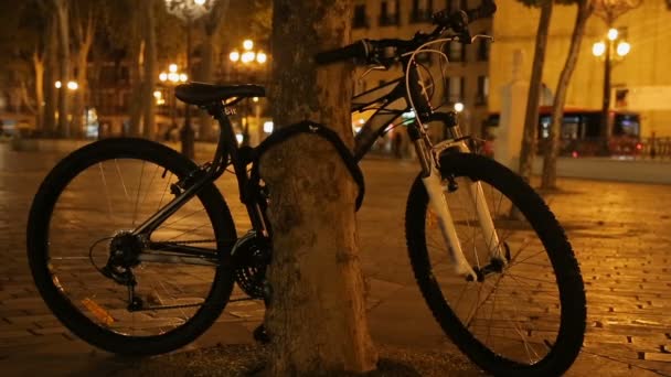 Велосипед привязан к дереву в ночном городском парке, экологически чистый транспорт — стоковое видео