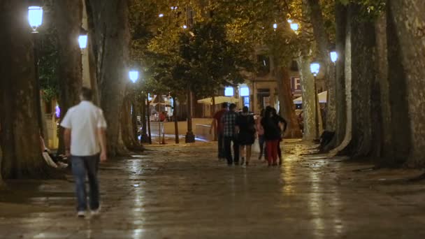 Young people strolling in city park at night, friends hanging out, urban life — Stock Video