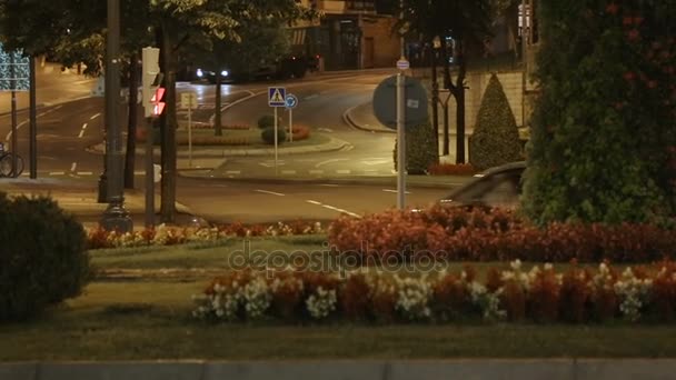 Tráfego ativo na rua da cidade à noite, vida urbana movimentada, gramados verdes e flores — Vídeo de Stock