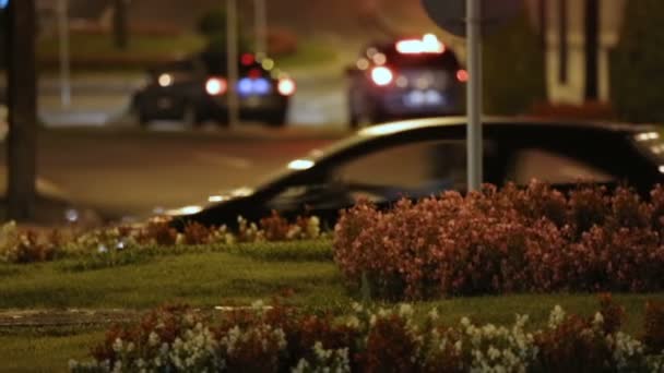 Voitures conduisant la nuit rue urbaine, services désignés de chauffeur ou de taxi, confort — Video