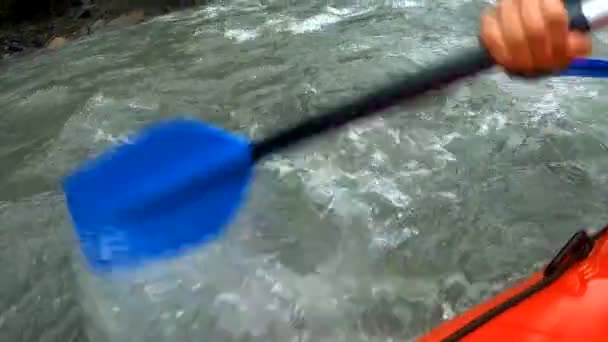 Equipo de rafting que se ocupa del riesgo en el agua, importancia del trabajo en equipo, deportes extremos — Vídeos de Stock