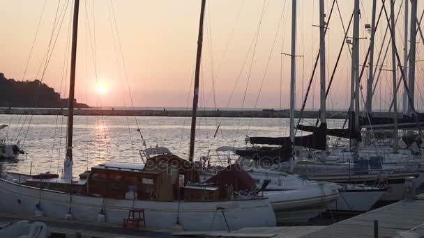 Łodzie na sprzedaż lub wynajem zadokowany w marina, piękny zachód słońca na horyzoncie, seascape — Wideo stockowe