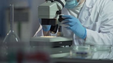 Tabii ki soruşturma taşıyan hücre parçacıkları, dikkatli bir şekilde inceleyerek biyolog
