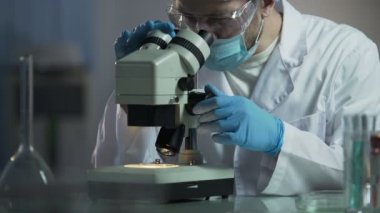 Onların labs yardımcı olacağını tedavi üzerinde çalışan bilim adamları AIDS yayılmasını durdurmak