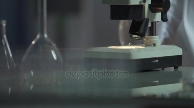 Genetiği değiştirilmiş organizmalar varlığı gıda araştırma laboratuvarı bilim adamı