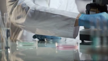 Doğru analiz doğrulamak için laboratuvar işçi slaytlar ile örnekleri gözden geçirme