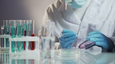 Kozmetik laboratuarı kremler eklemek için evrensel kozmetik müşteri temsilcisi Yardımcısı