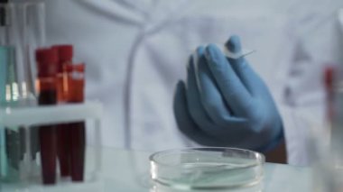 Aşı oluşturma kan örnekleri, tıbbi araştırma yaparken laboratuvar bilim adamı