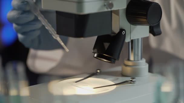 Ερευνητικός αναλυτής προσθέτοντας αντιδραστήριο φάρμακο να διατηρούν την παρακολούθηση χημική αντίδραση — Αρχείο Βίντεο