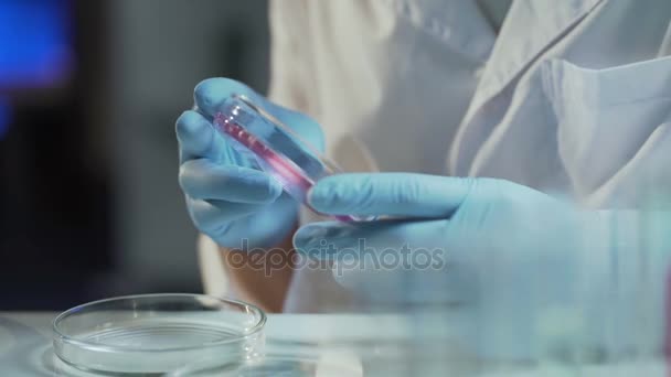 Trabajador de laboratorio examinando la consistencia del material, trabajando en la creación de detergente — Vídeo de stock