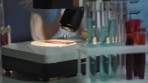 Незаконная лаборатория, занимающаяся экспериментальной медициной, проводит испытания на животных — стоковое видео