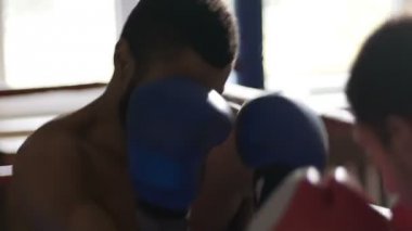 Ringde boks, dövüş sanatları becerileri gösterilen profesyonel Muay Tay savaşçıları