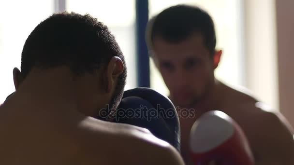 Boxer se preparando para o jogo com forte rival, tomando sua mente para a última rodada — Vídeo de Stock