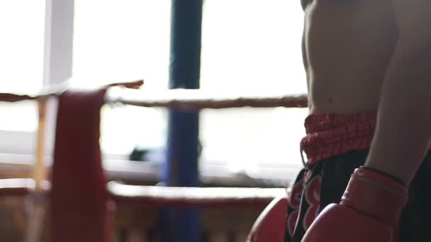 Torso de fuerte atleta en guantes de boxeo, fuerte luchador esperando la próxima ronda — Vídeo de stock