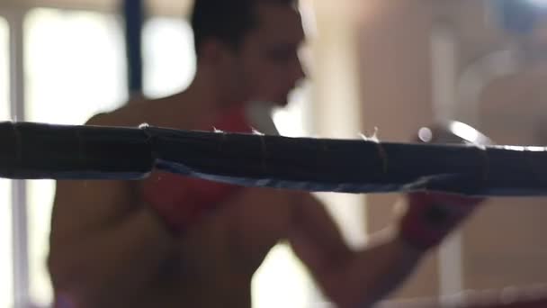 Boxer attivo ombra lotta sul ring, l'allenamento difficile da sconfiggere rivale durante il match — Video Stock