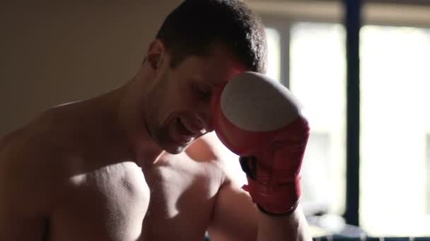 Müder Boxer startet in neue Runde, schlägt Rivalen, gewinnt Kampf, Kampfsport — Stockvideo