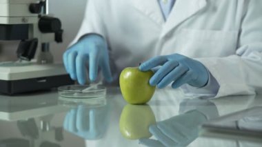 Laboratuvar çalışanları meyve yerli ve yabancı çiftliklerden araştırma yürütmektedir