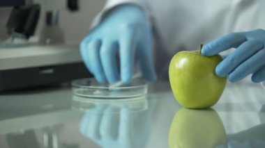 Gelecekte yeni tür seçmek için asistan elma biomaterial ile enjekte