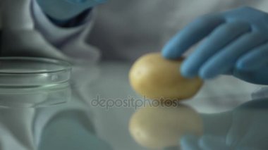 Gıda, kalitesi kontrol özel laboratuvar çalışan testleri enjeksiyonları ile yapma