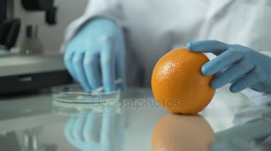 Uçucu yağlar turuncu, narenciye vitamin ürünleri ayıklama güzellik uzmanı