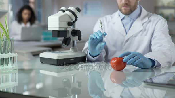 Laboratory worker making pesticide inoculation to tomatoes to prevent spoilage — Stock Video