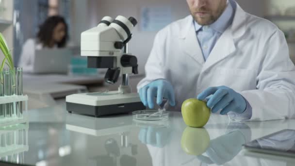 Лабораторный ассистент вводит яблоко с порцией пестицидов для улучшения состояния рынка — стоковое видео