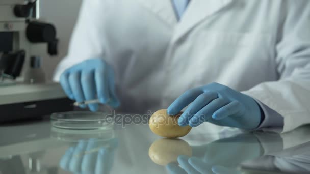 Scientist making injection with pesticides to potato, speeding up flowering — Stock Video