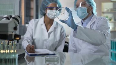 Türler üzerinde çanak, böceklerin bakarak laboratuar araştırmacılar laboratuvar testleri
