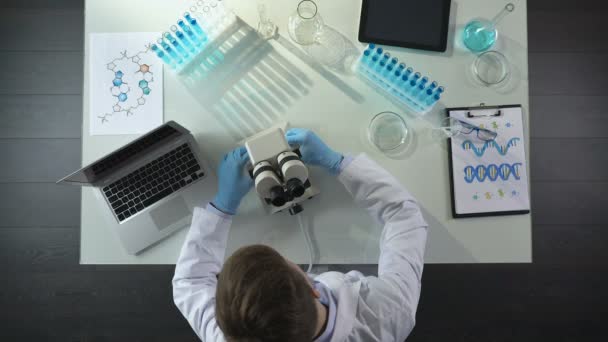 Κάτοψη του εργαστηρίου εργαζόμενος βάζοντας προετοιμασμένοι δείγμα στη σκηνή για να δείτε κάτω από το μικροσκόπιο — Αρχείο Βίντεο