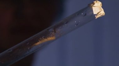 Tarama test tüpü, bilimsel deney, Entomoloji tehlikeli Eklem bacaklılar
