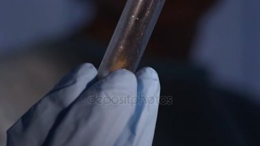 Genetik kırkayak, değiştirerek entomologlar yeni daha istikrarlı tür ıslahı