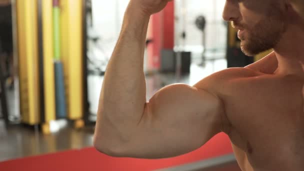 Muscleman haciendo doble pose frontal del bíceps, mirando su reflejo en el espejo — Vídeos de Stock
