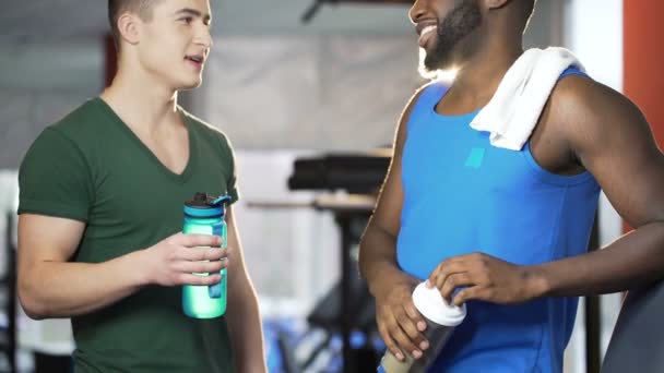 Amigos varones hablando y bebiendo agua en el gimnasio, discutiendo planes después del entrenamiento — Vídeo de stock
