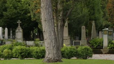 Güzel Mirogoj mezarlığı park ile lots-in mezarları ve Anıt mezarlar Panoraması