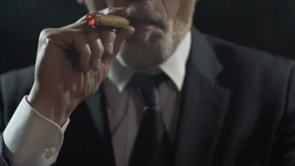 Zelfbewuste rijke zakenman inademen van rook, genieten van luxe sigaar tabak — Stockvideo