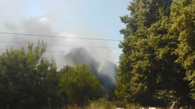 Kalın duman yeşil orman, sıcak yaz, kundakçılık wildfires tehdit yukarıda gidiş