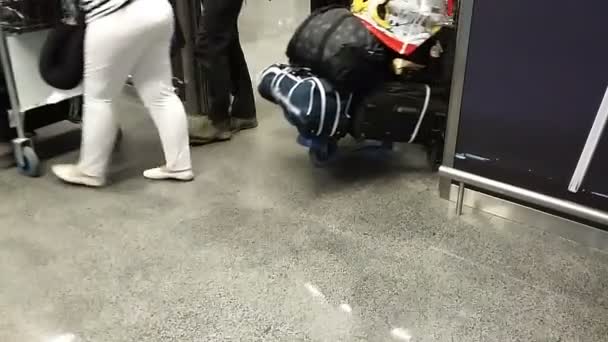 Turistas saindo do terminal do aeroporto com bagagem após a chegada do avião, viagem — Vídeo de Stock