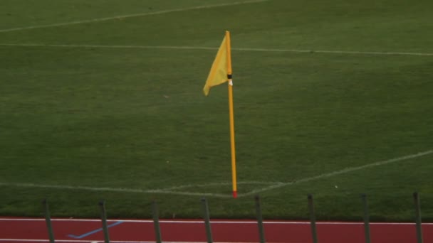 Marcas de bandeira de canto amarelo área de jogo em campo, equipamento de futebol, regras de jogo — Vídeo de Stock