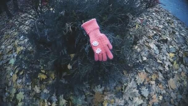 Детские перчатки, найденные на кустах в парке, улики, подтверждающие похищение маленькой девочки — стоковое видео