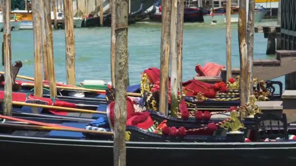 Gondolele decorate parcate la Grand Canal, transportul tradițional pe apă în Veneția — Videoclip de stoc