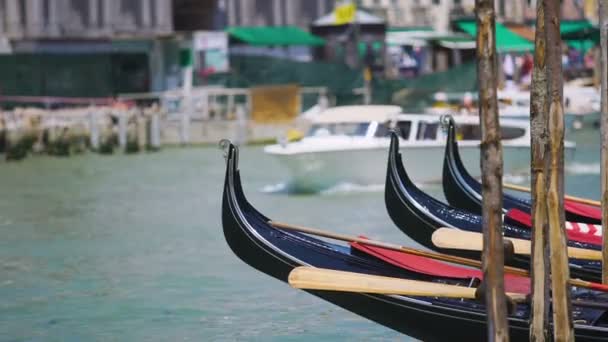 Táxi aquático transportando turistas em Veneza, gôndolas estacionadas ao longo do canal, passeios turísticos — Vídeo de Stock