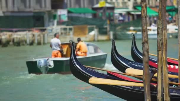 Barcos de góndola flotando en el agua, transporte en Venecia, excursiones por la ciudad marina — Vídeo de stock